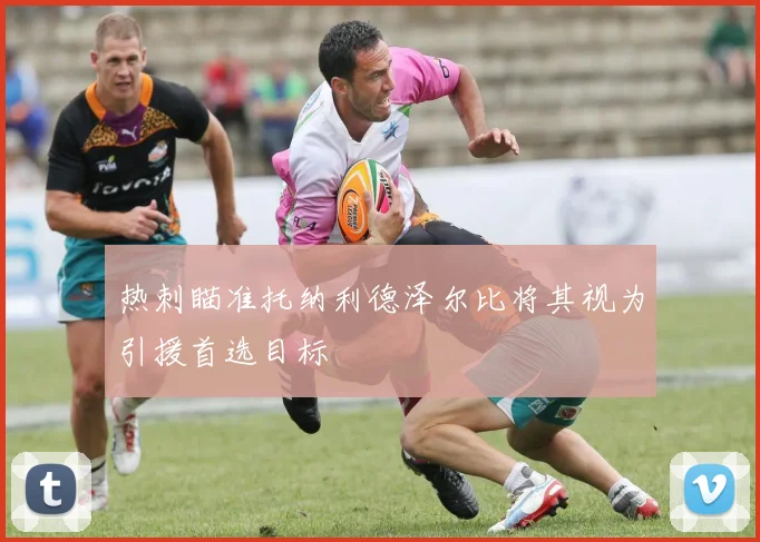 热刺瞄准托纳利德泽尔比将其视为引援首选目标